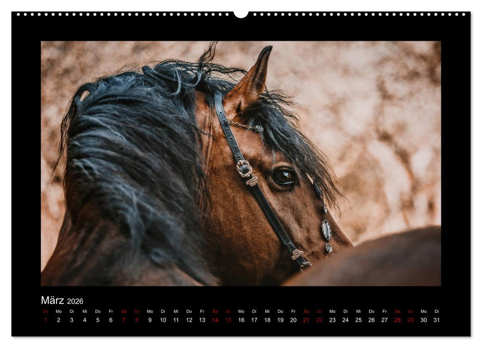 Die Faszinierende Welt der Pferde (CALVENDO Premium Wandkalender 2026)