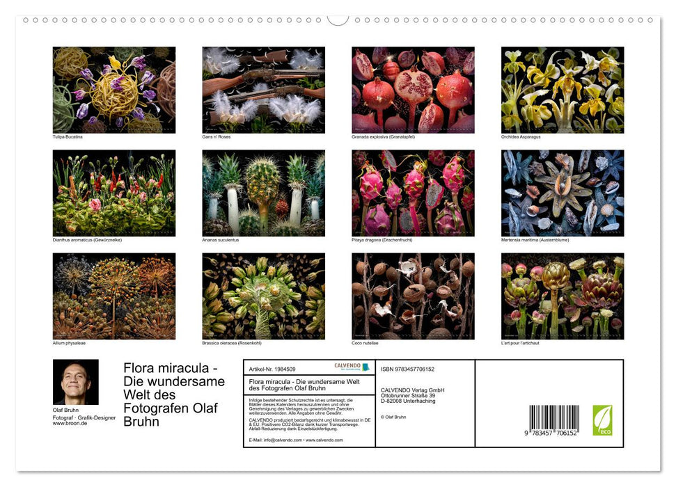 Flora miracula - Die wundersame Welt des Fotografen Olaf Bruhn (CALVENDO Premium Wandkalender 2026)