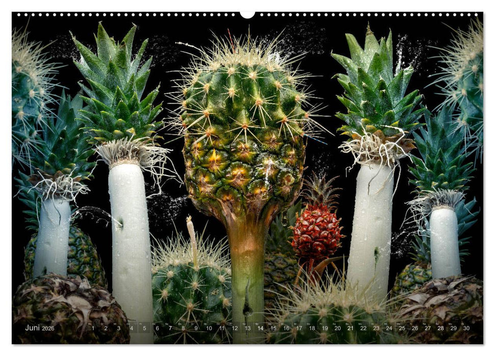 Flora miracula - Die wundersame Welt des Fotografen Olaf Bruhn (CALVENDO Premium Wandkalender 2026)