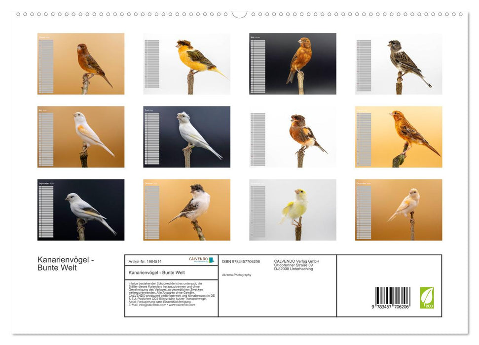 Kanarienvögel - Bunte Welt (CALVENDO Premium Wandkalender 2026)