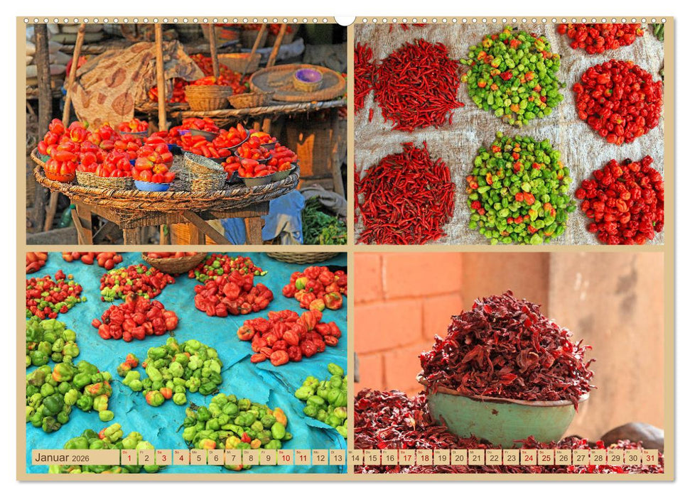 Westafrika, Highlights vom schwarzen Kontinent (CALVENDO Premium Wandkalender 2026)