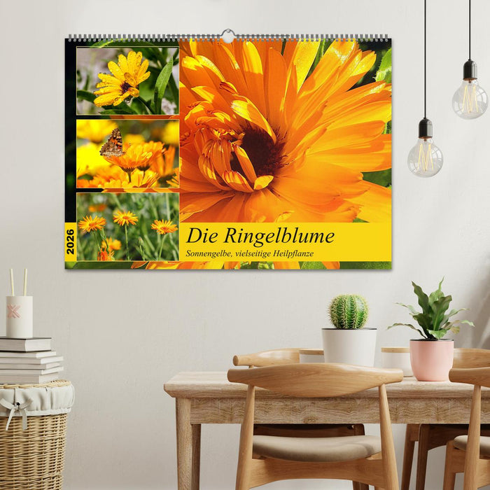 Die Ringelblume. Sonnengelbe, vielseitige Heilpflanze (CALVENDO Wandkalender 2026)