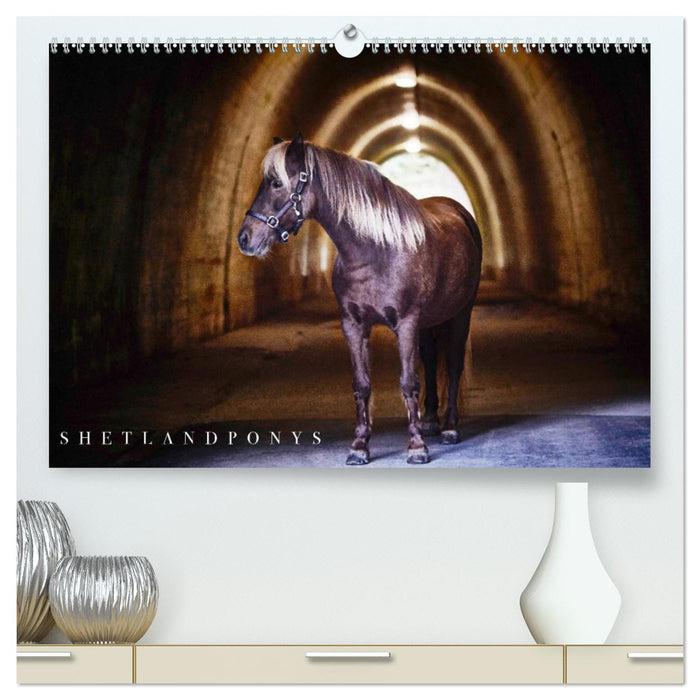 Shetlandpony Kalender (CALVENDO Premium Wandkalender 2026)