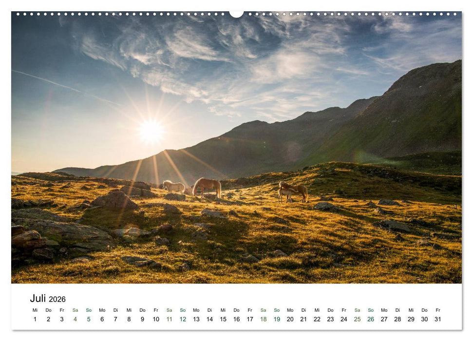 Ultental - Ein Jahr in Bildern (CALVENDO Premium Wandkalender 2026)