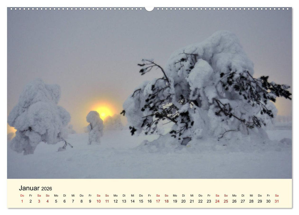 Lichtstimmungen des Nordens (CALVENDO Premium Wandkalender 2026)