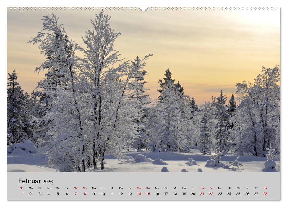 Lichtstimmungen des Nordens (CALVENDO Premium Wandkalender 2026)