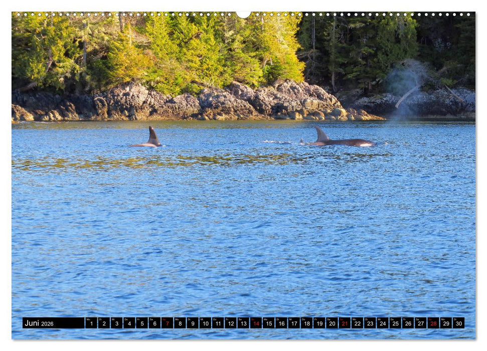 Vancouver - Vancouver Island - Seattle (CALVENDO Premium Wandkalender 2026)