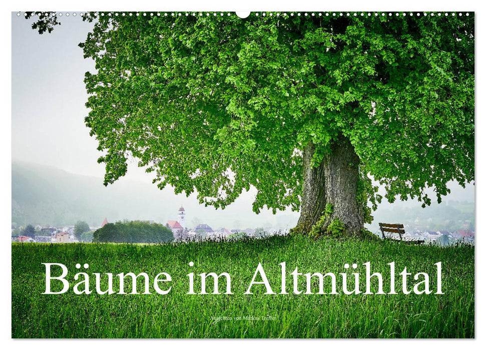 Bäume im Altmühltal (CALVENDO Wandkalender 2026)