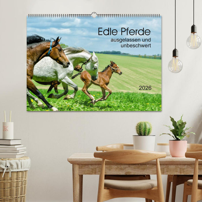 Edle Pferde - ausgelassen und unbeschwert (CALVENDO Wandkalender 2026)