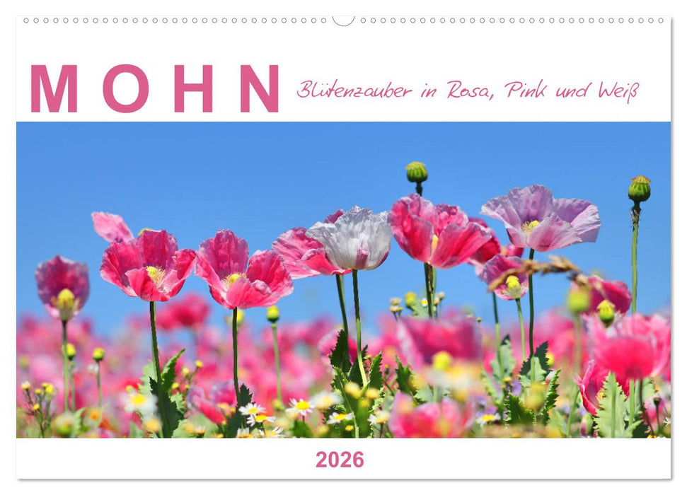 Mohn, Blütenzauber in Rosa, Pink und Weiß (CALVENDO Wandkalender 2026)