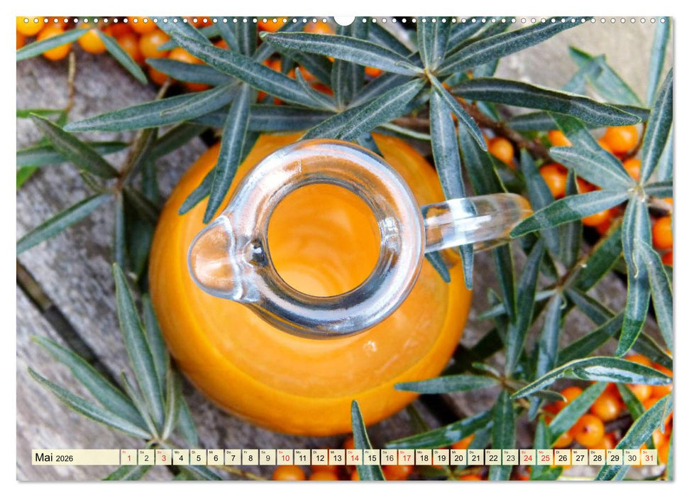 Essbare Wildfrüchte. Aromatische Köstlichkeiten aus der Natur (CALVENDO Wandkalender 2026)