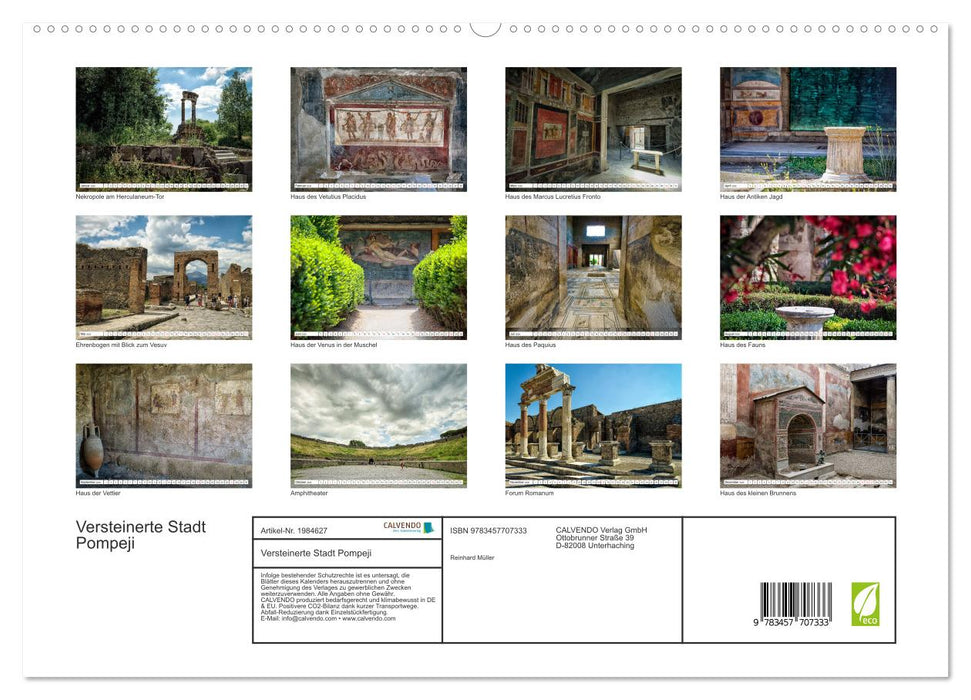 Versteinerte Stadt Pompeji (CALVENDO Premium Wandkalender 2026)