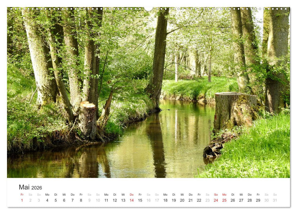 OBERPFALZ KULT.L - Urlaub in Nord-Bayern (CALVENDO Wandkalender 2026)