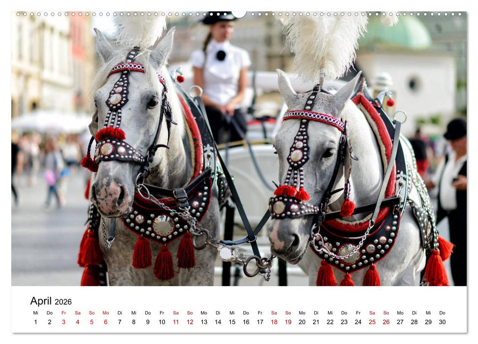 Krakau - die schönste Stadt Polens (CALVENDO Premium Wandkalender 2026)