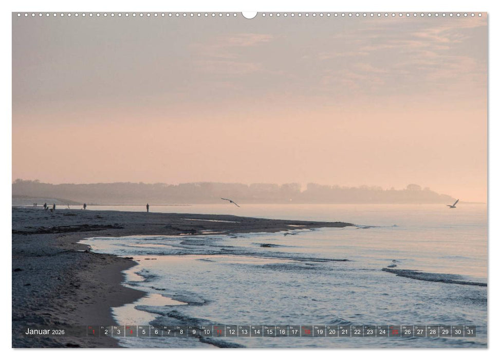 Ahrenshoop - Stimmungsbilder eines Künstlerortes (CALVENDO Premium Wandkalender 2026)