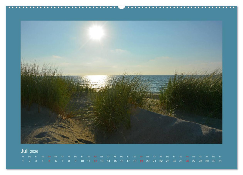 Sanddünen an der Nordsee in den Niederlanden (CALVENDO Premium Wandkalender 2026)