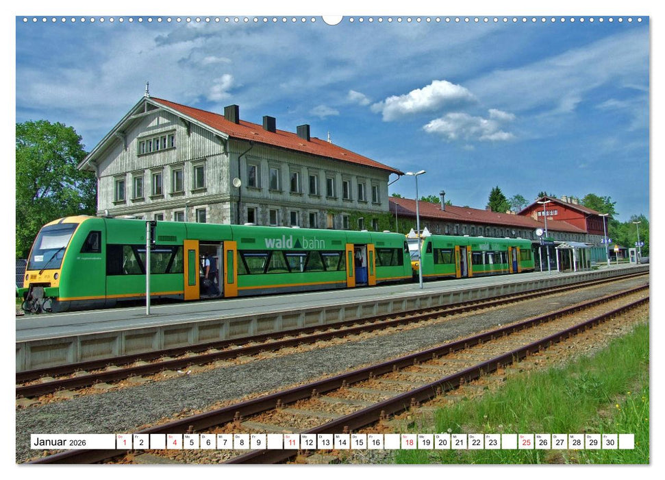 Grosser Arberblick auf Bayerisch Eisenstein (CALVENDO Premium Wandkalender 2026)