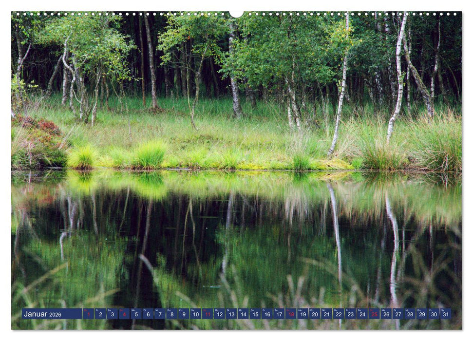 Schönes Ammerland (CALVENDO Premium Wandkalender 2026)