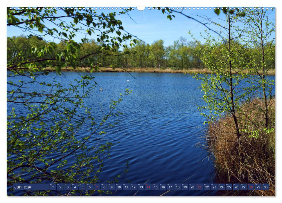 Schönes Ammerland (CALVENDO Premium Wandkalender 2026)