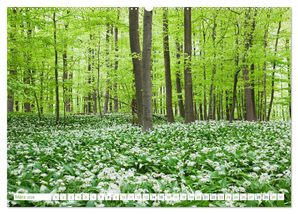 Eifel Reise - romantische Orte (CALVENDO Wandkalender 2026)