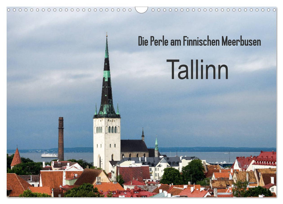 Die Perle am Finnischen Meerbusen Tallinn (CALVENDO Wandkalender 2026)