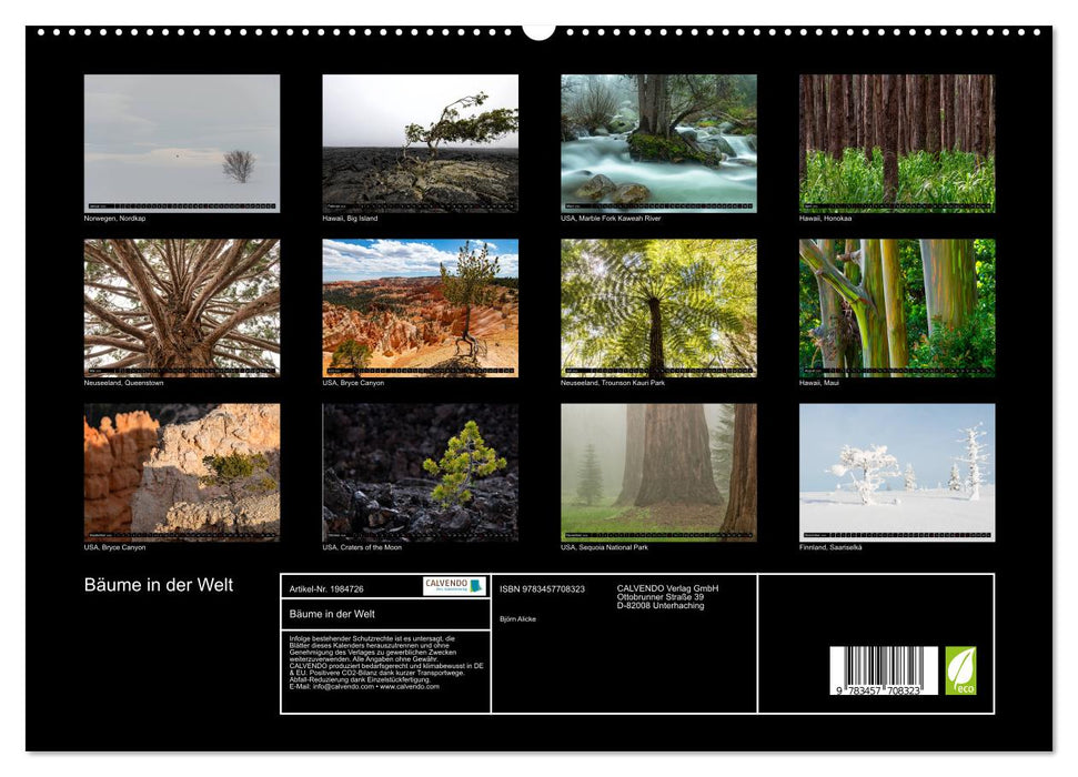 Bäume in der Welt (CALVENDO Premium Wandkalender 2026)