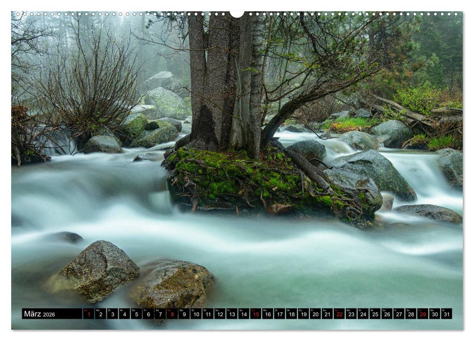 Bäume in der Welt (CALVENDO Premium Wandkalender 2026)