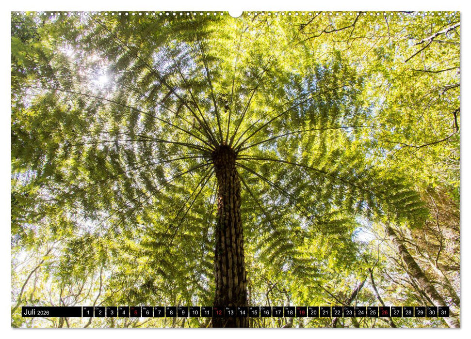 Bäume in der Welt (CALVENDO Premium Wandkalender 2026)