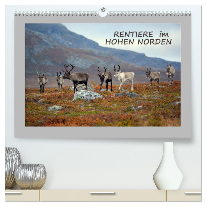 Rentiere im Hohen Norden (CALVENDO Premium Wandkalender 2026)
