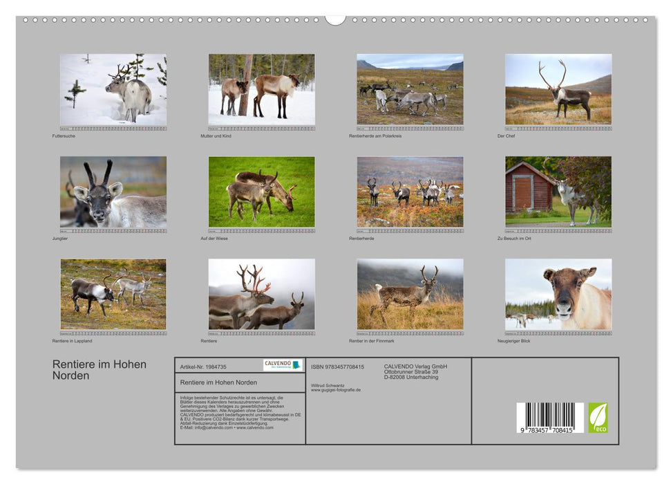 Rentiere im Hohen Norden (CALVENDO Premium Wandkalender 2026)