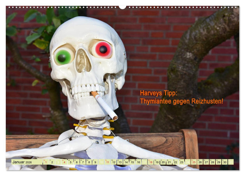 Harvey, der Heilpraktiker (CALVENDO Premium Wandkalender 2026)