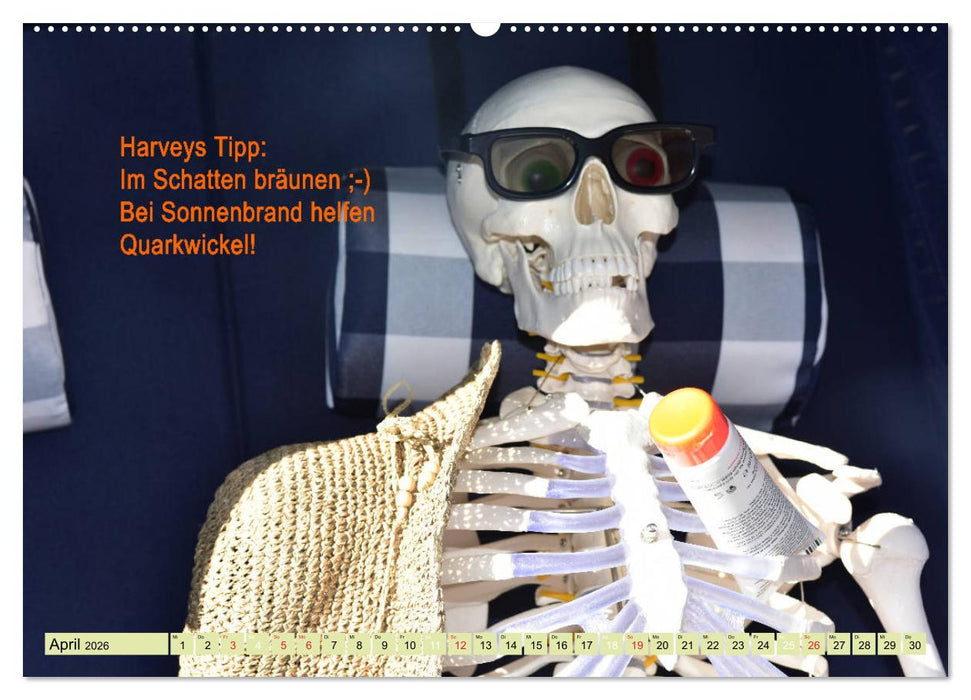 Harvey, der Heilpraktiker (CALVENDO Premium Wandkalender 2026)