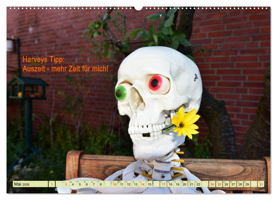 Harvey, der Heilpraktiker (CALVENDO Premium Wandkalender 2026)