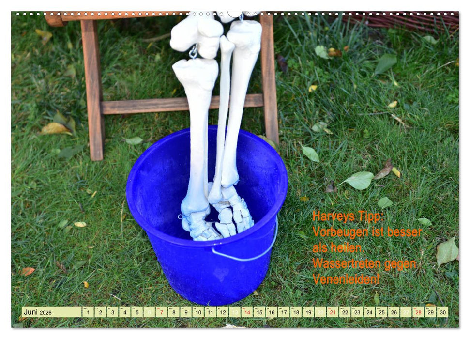 Harvey, der Heilpraktiker (CALVENDO Premium Wandkalender 2026)