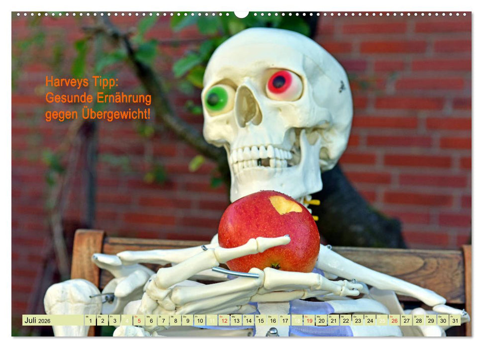 Harvey, der Heilpraktiker (CALVENDO Premium Wandkalender 2026)