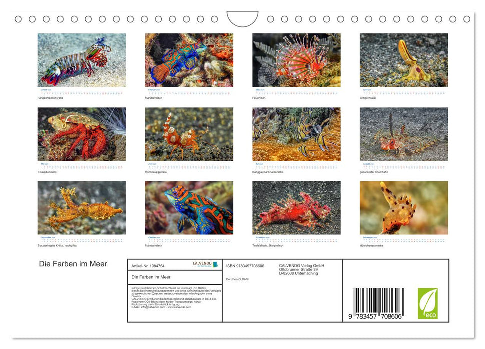 Die Farben im Meer (CALVENDO Wandkalender 2026)