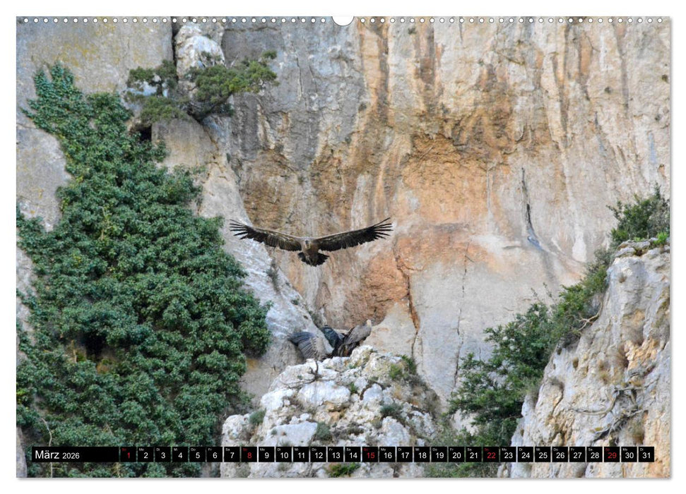 Spaniens wilder Norden (CALVENDO Premium Wandkalender 2026)