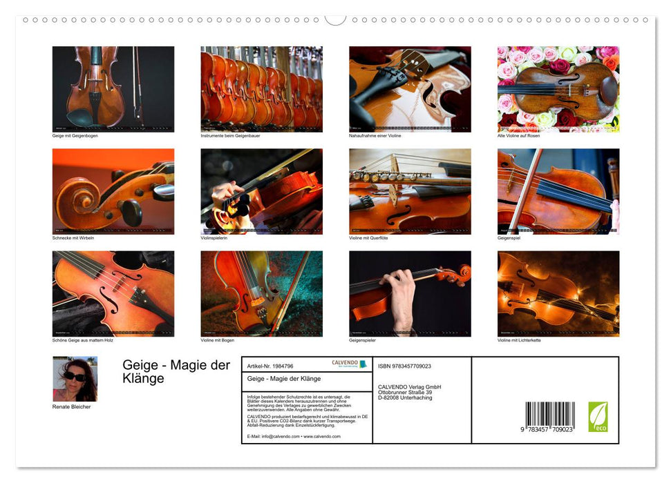 Geige - Magie der Klänge (CALVENDO Premium Wandkalender 2026)