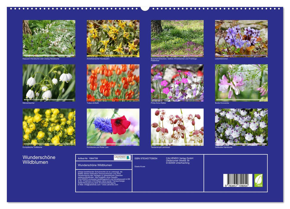 Wunderschöne Wildblumen (CALVENDO Premium Wandkalender 2026)