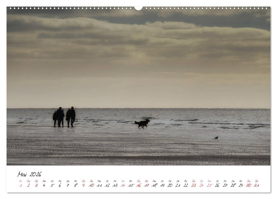 Naturpark Wattenmeer und Helgoland (CALVENDO Premium Wandkalender 2026)