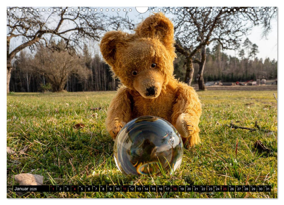 Neue Abenteuer von Teddy Basse (CALVENDO Wandkalender 2026)