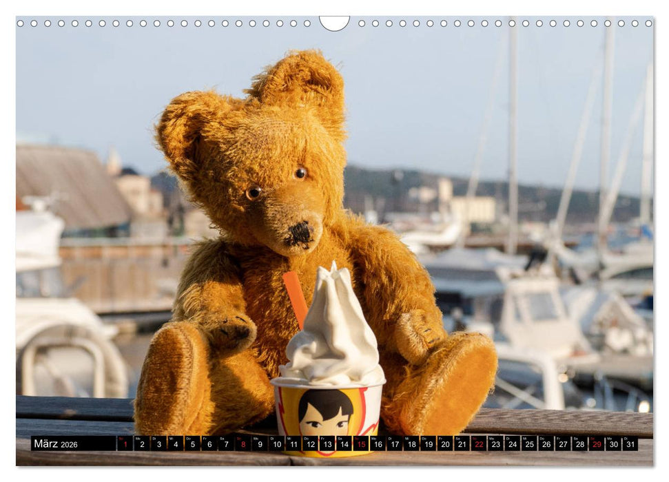 Neue Abenteuer von Teddy Basse (CALVENDO Wandkalender 2026)