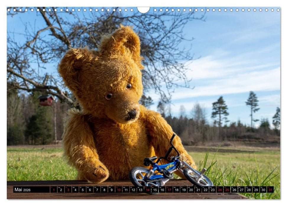 Neue Abenteuer von Teddy Basse (CALVENDO Wandkalender 2026)