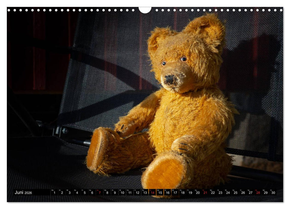 Neue Abenteuer von Teddy Basse (CALVENDO Wandkalender 2026)