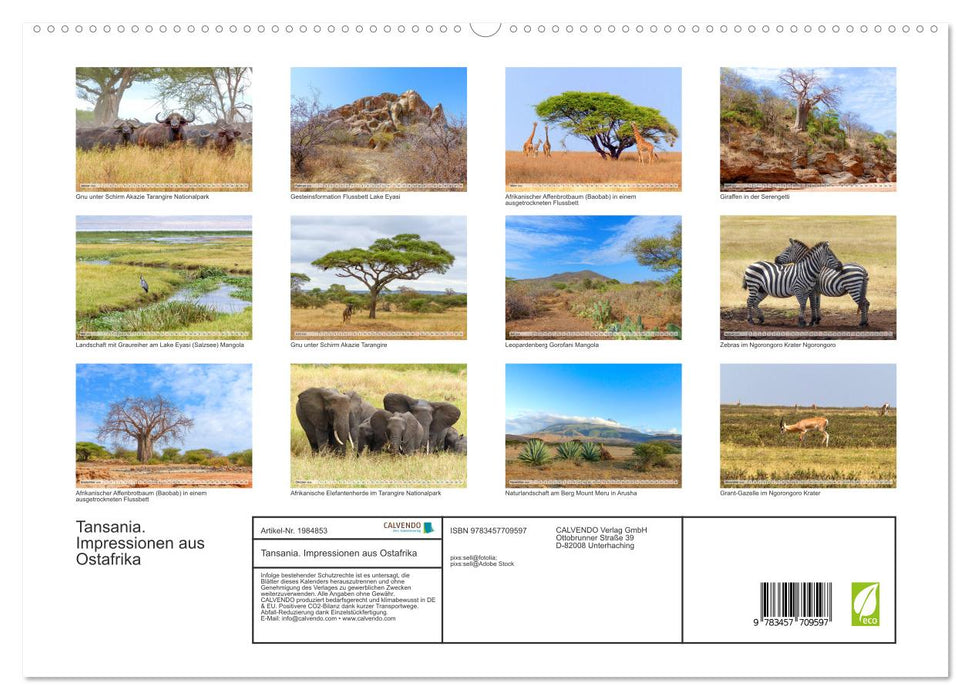 Tansania. Impressionen aus Ostafrika (CALVENDO Premium Wandkalender 2026)