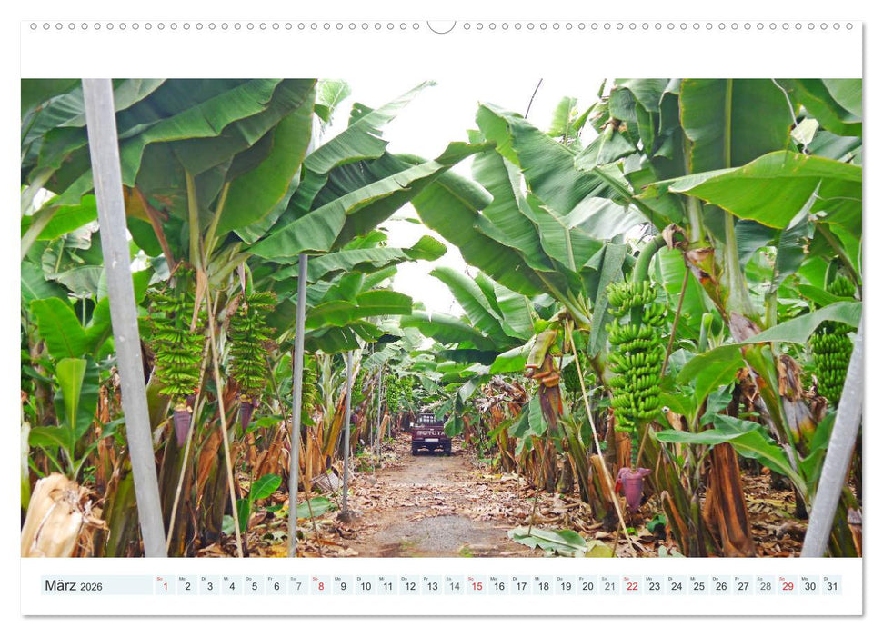 La Palma. Wandern, Flanieren und Genießen (CALVENDO Wandkalender 2026)