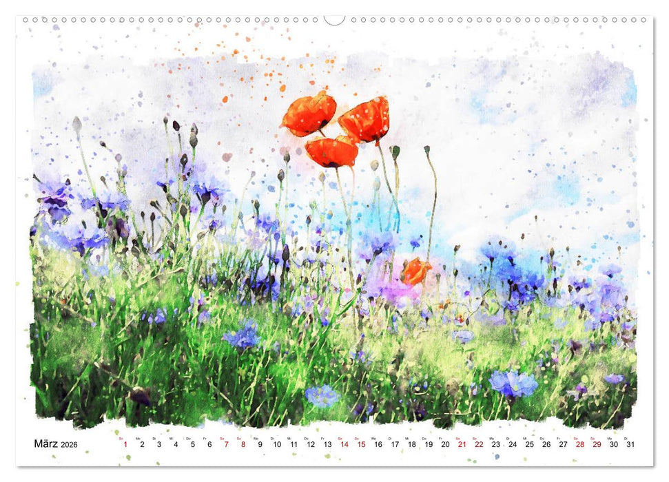 Mohnblüten in Aquarell (CALVENDO Wandkalender 2026)