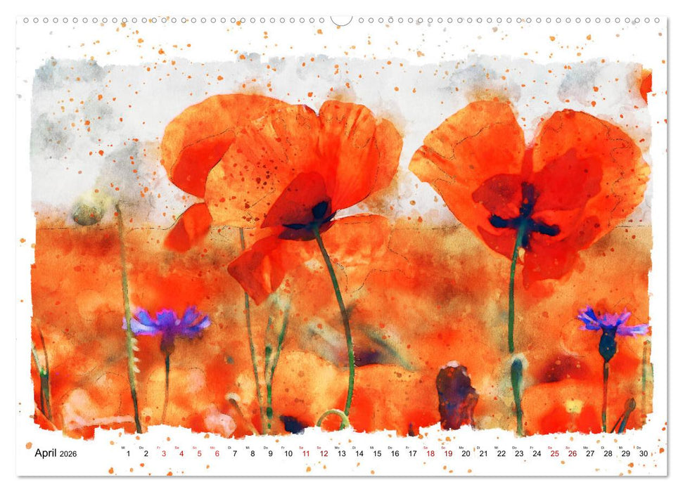Mohnblüten in Aquarell (CALVENDO Wandkalender 2026)
