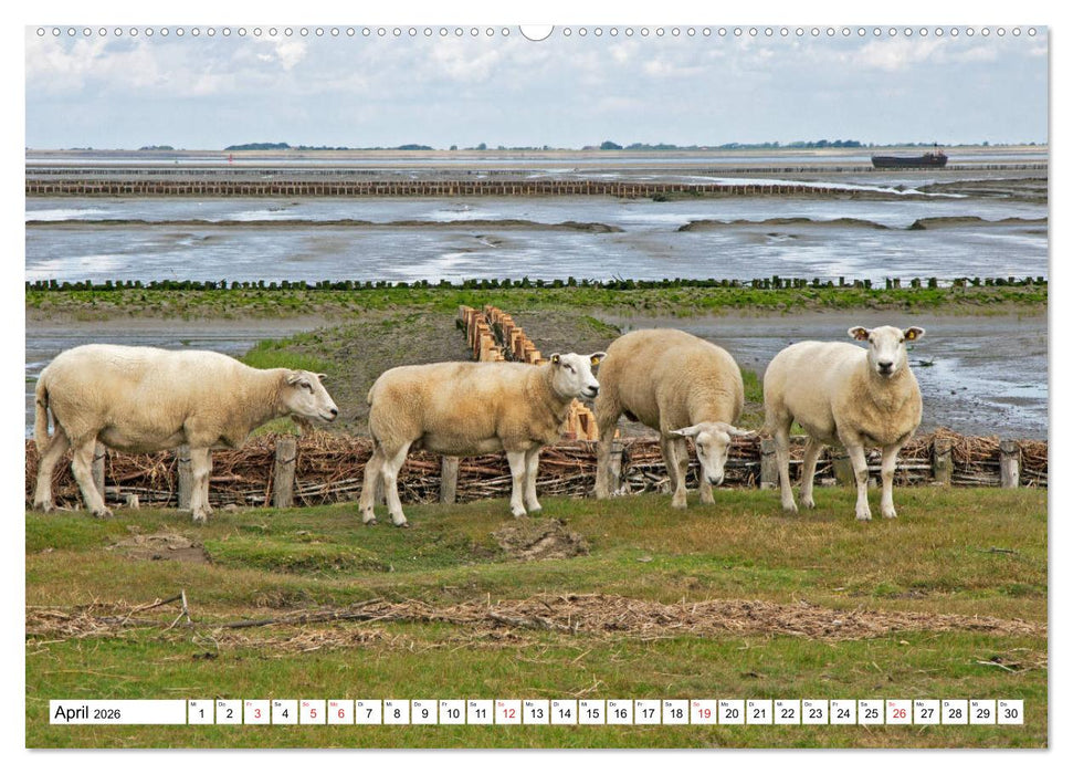 Die Nordsee zwischen Stade und Pellworm (CALVENDO Premium Wandkalender 2026)