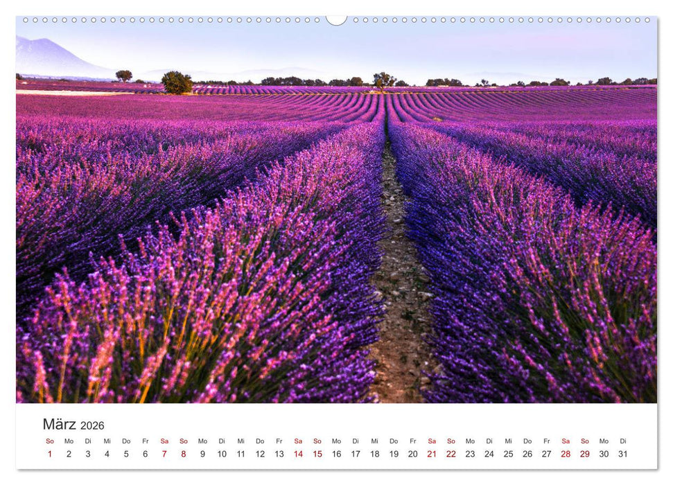Träume aus Lavendel, Provence in Rosa bis Lila (CALVENDO Premium Wandkalender 2026)